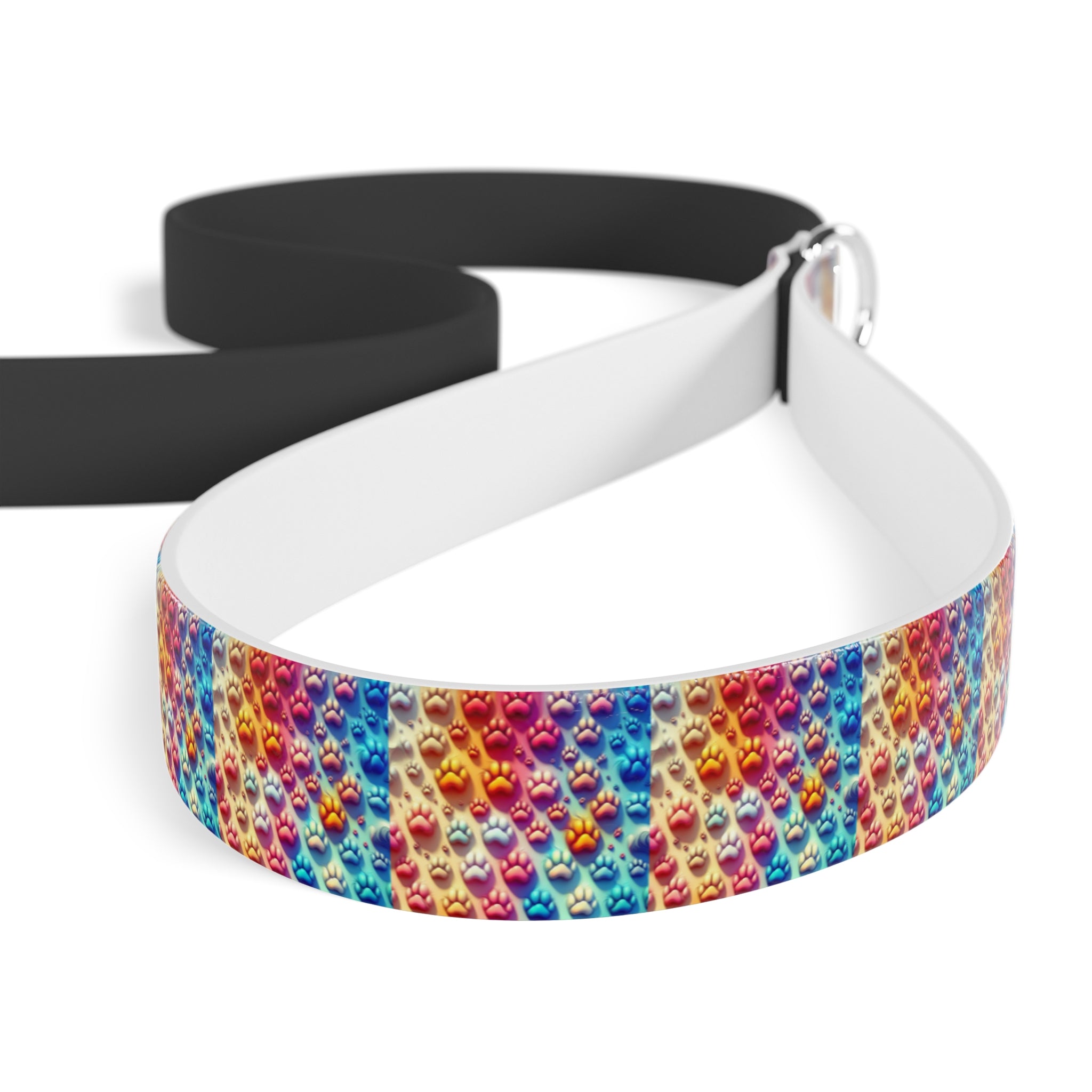 Colorful pet leash